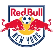 纽约红牛 战队徽标